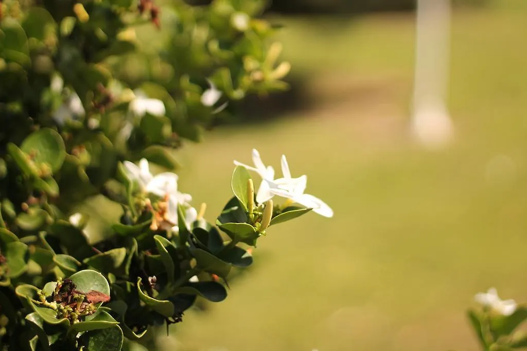 **** Hotel Valle Di Mare Country Resort Fontane Bianche Italie
